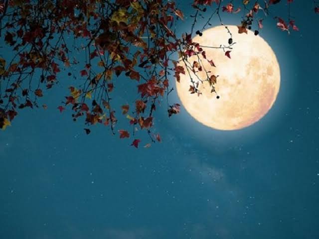Magh Purnima